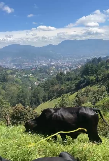 Mountain landscape overlooking Medellín during a Spanglish community hike